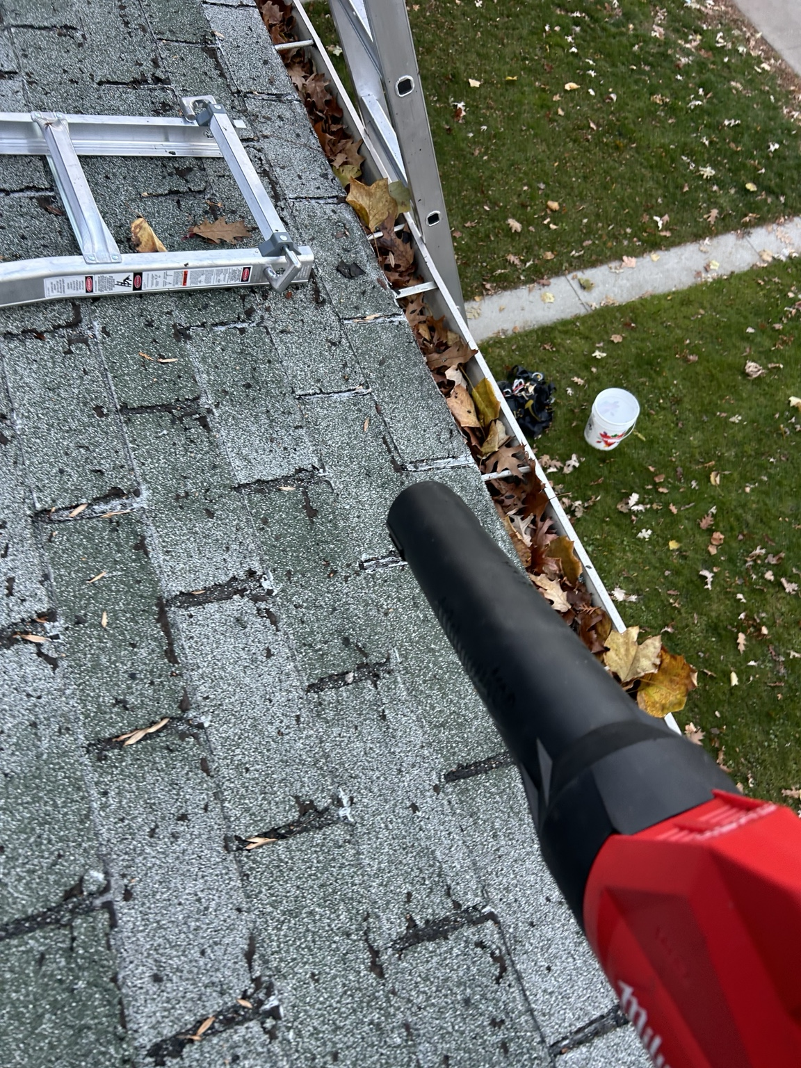 Blocked downspout cleared in Toronto